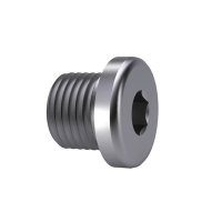 DIN 908 Hexagon Socket Screw Plug With Collar