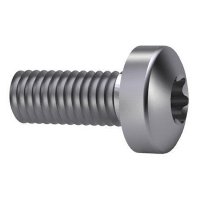 Torx Screw, Pan Head